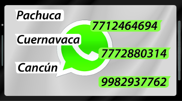 contactos whatsapp